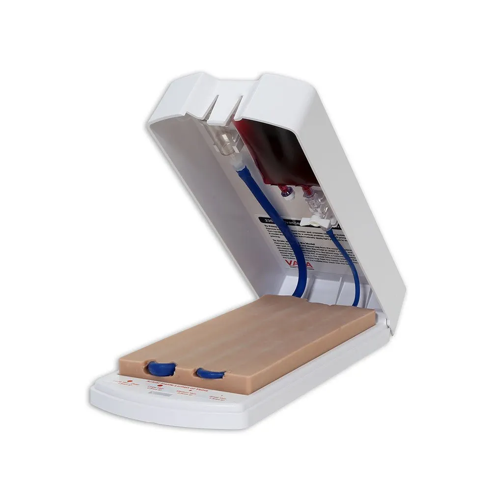 Advanced 4-Vein IV Training Aid, Dermalike II Latex Free