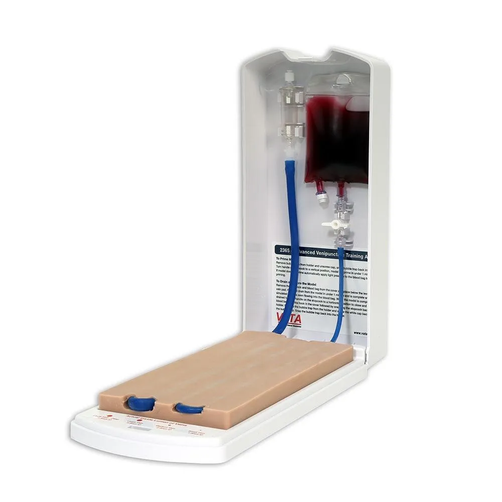 Advanced 4-Vein IV Training Aid, Dermalike II Latex Free