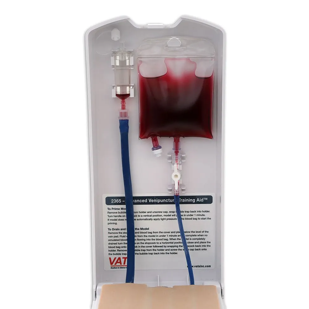 Advanced 4-Vein IV Training Aid, Dermalike II Latex Free