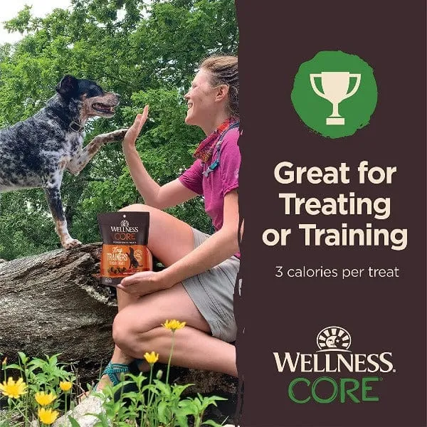 Wellness CORE Tiny Trainers Tender Treats Lamb & Apple Dog Treats