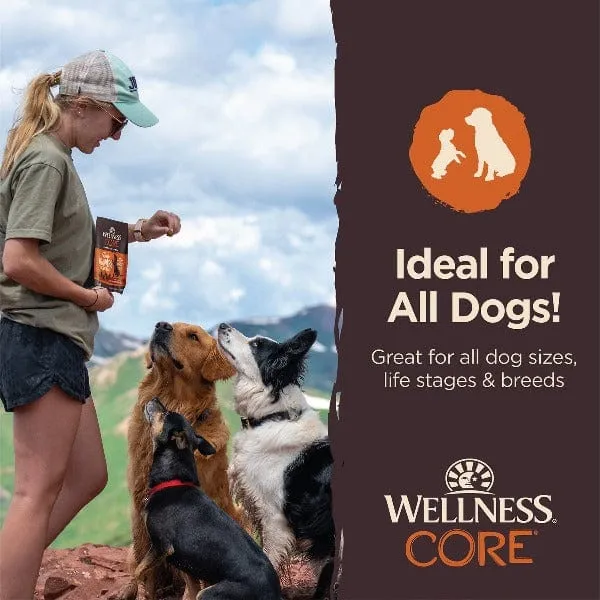 Wellness CORE Tiny Trainers Tender Treats Turkey & Pomegranate Dog Treats