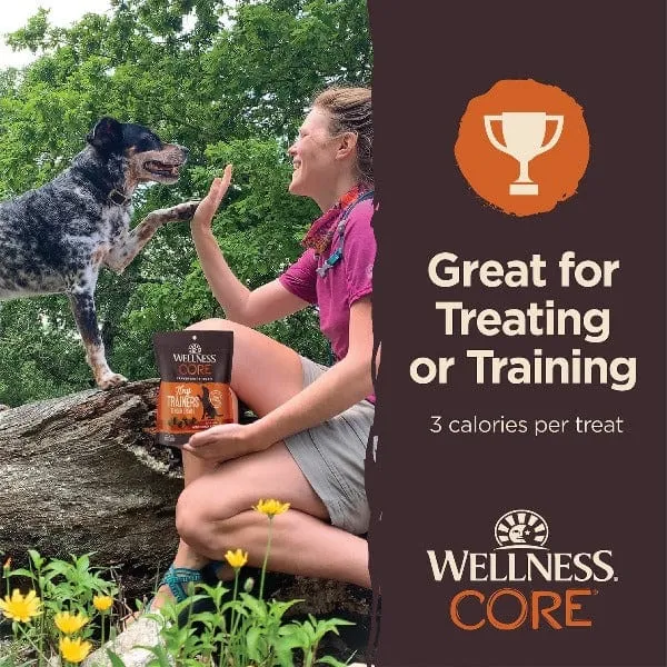 Wellness CORE Tiny Trainers Tender Treats Turkey & Pomegranate Dog Treats